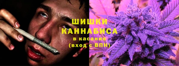 спайс Покачи