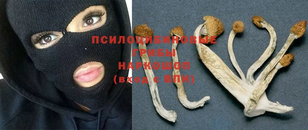 гидра Покров