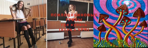 гидра Покров