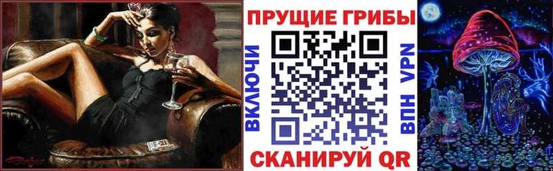 Псилоцибиновые грибы мицелий  OMG ссылки  Аша 