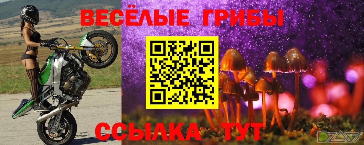 Псилоцибиновые грибы мухоморы Аша